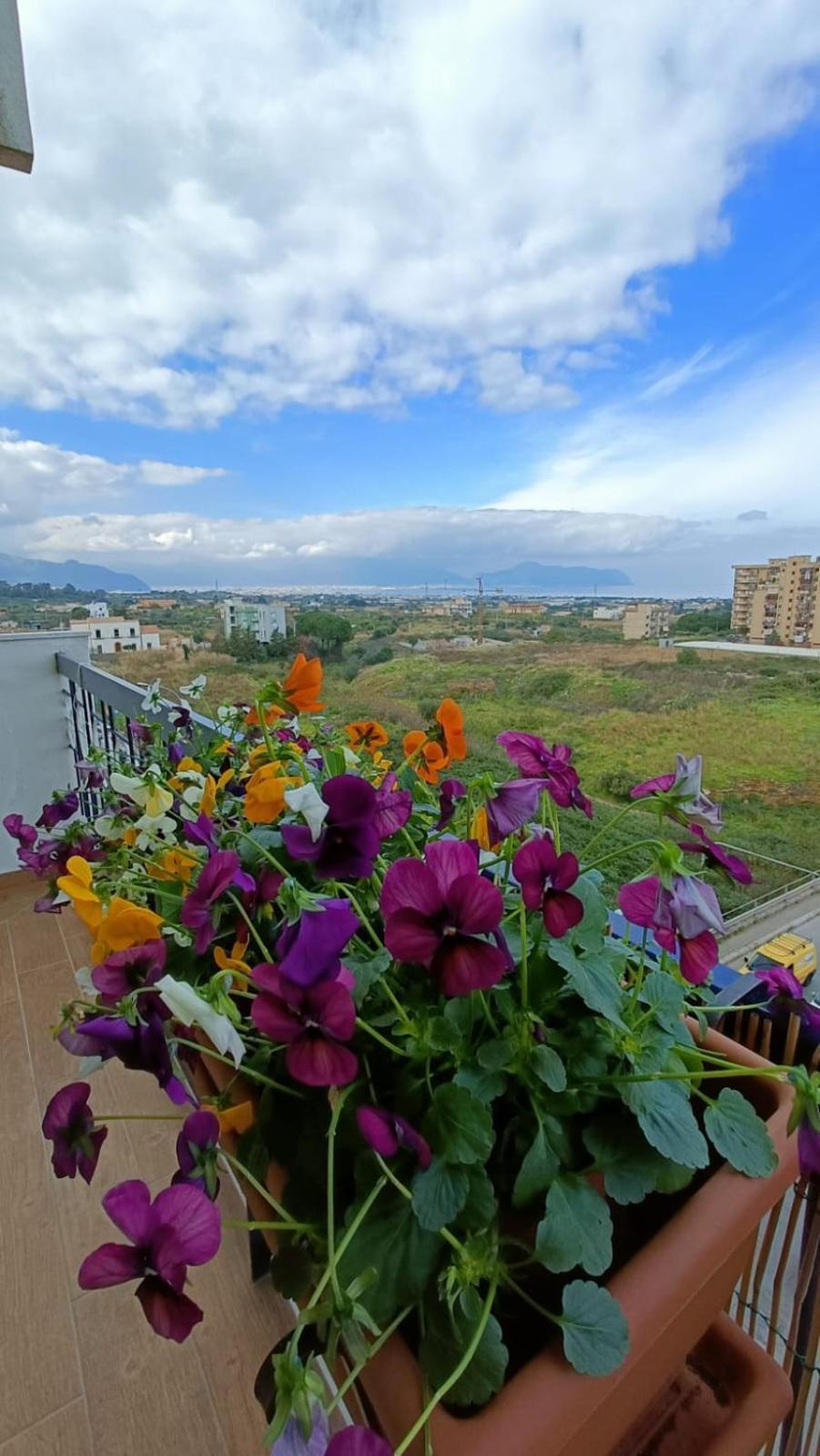 B&B Margherita Bagheria Bagian luar foto
